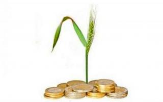 Împrumuturi preferențiale pentru agricultură în Rusia